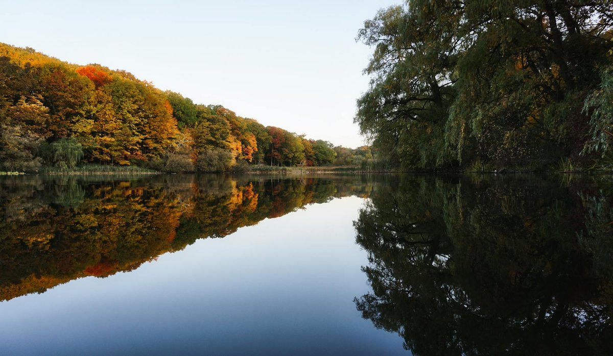 Beningen