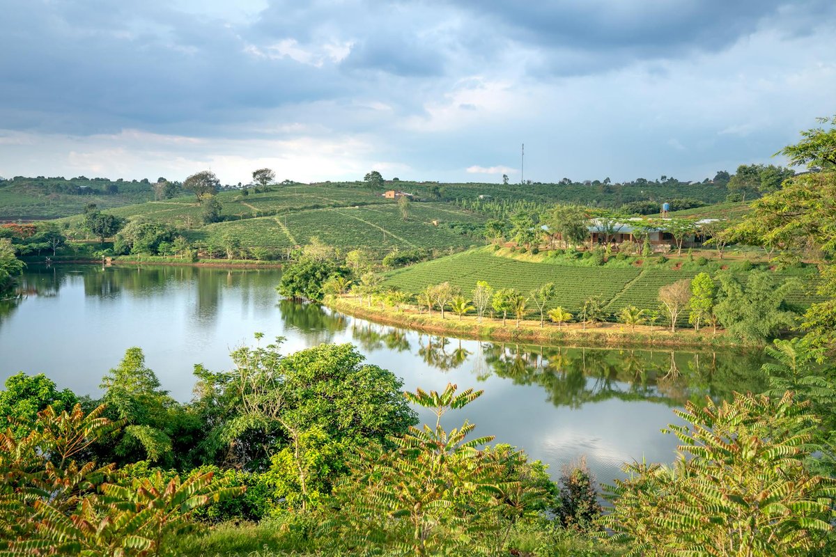 Cipayung Reservoir