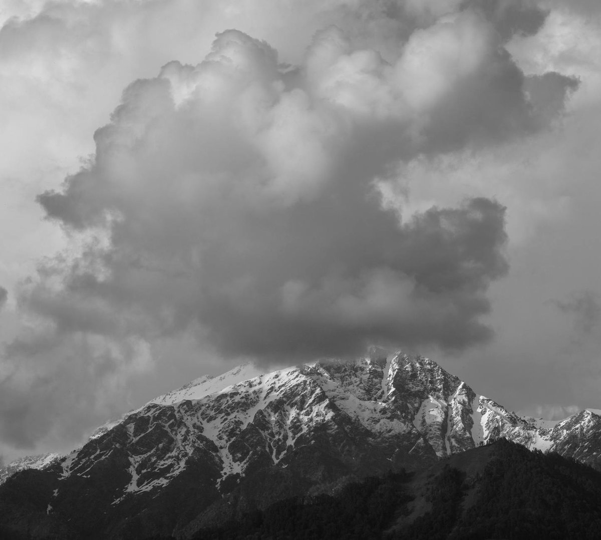 Nanda Devi National Park
