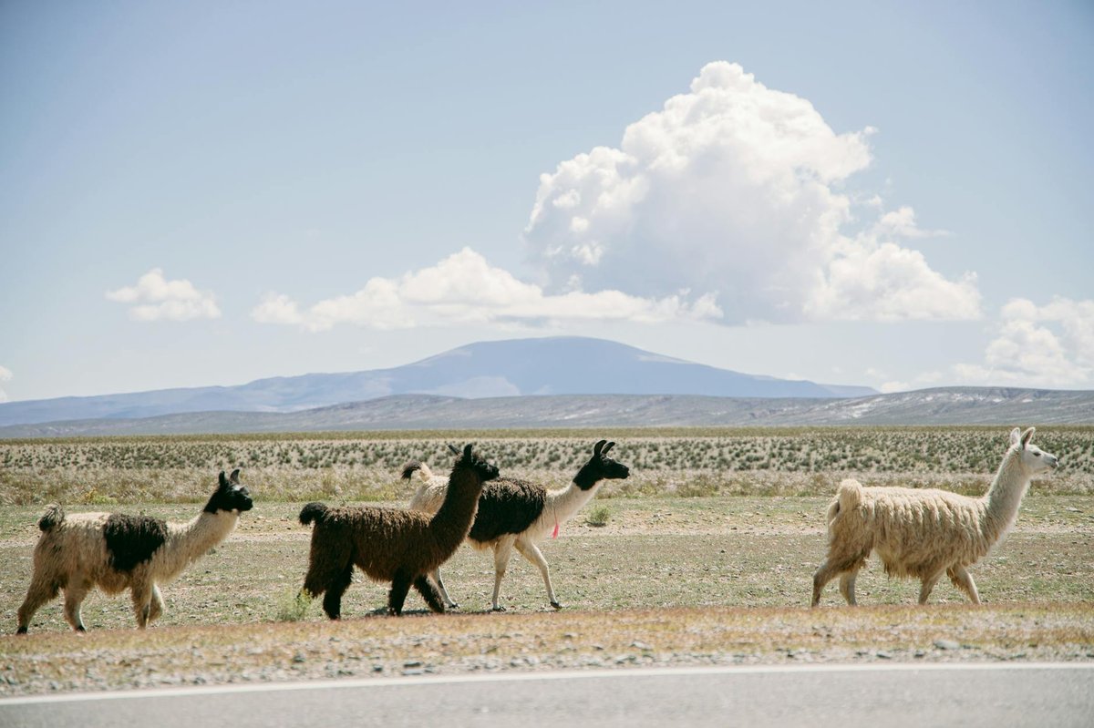 Salar El Laco