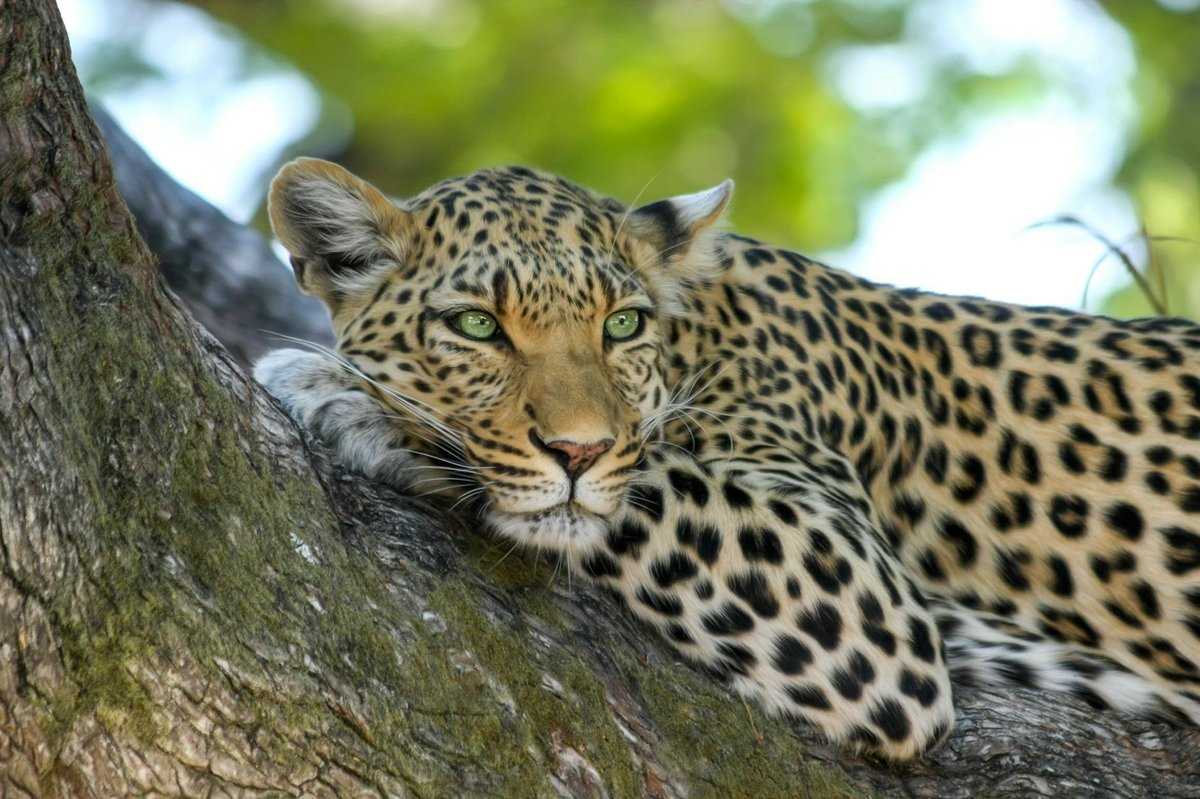 Periyar National Park