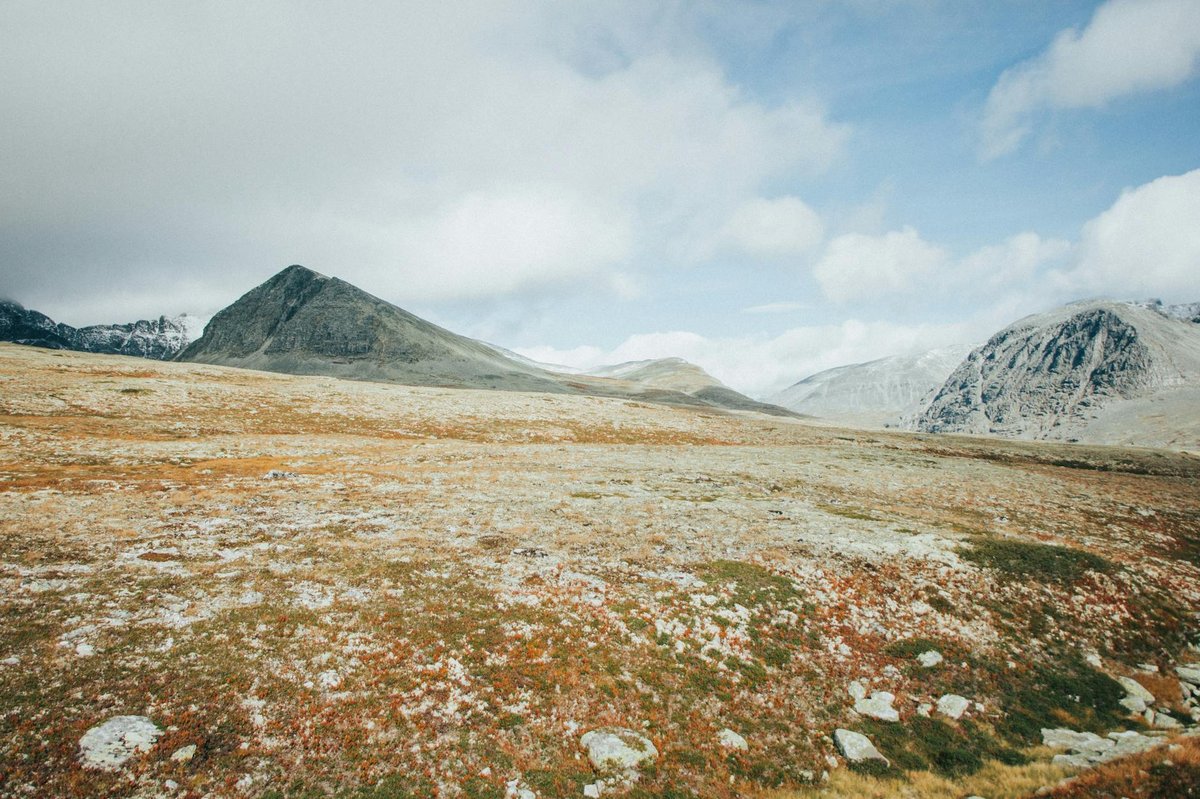 Øvre Pasvik National Park
