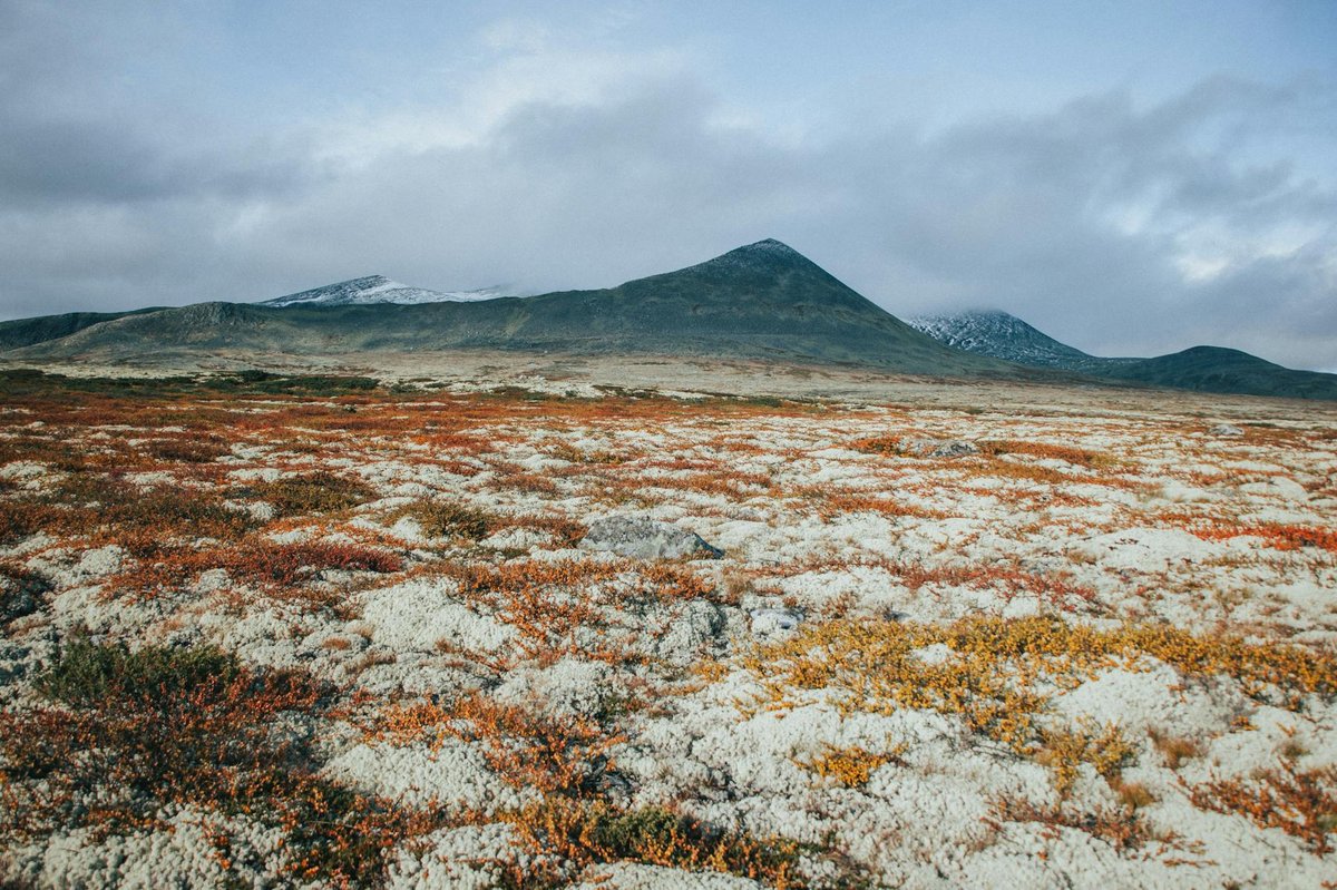 Blåfjella–Skjækerfjella National Park