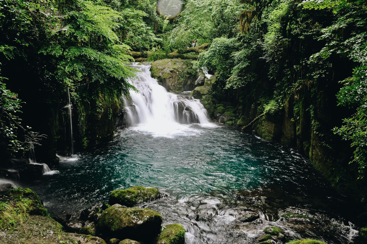 Abono Taki