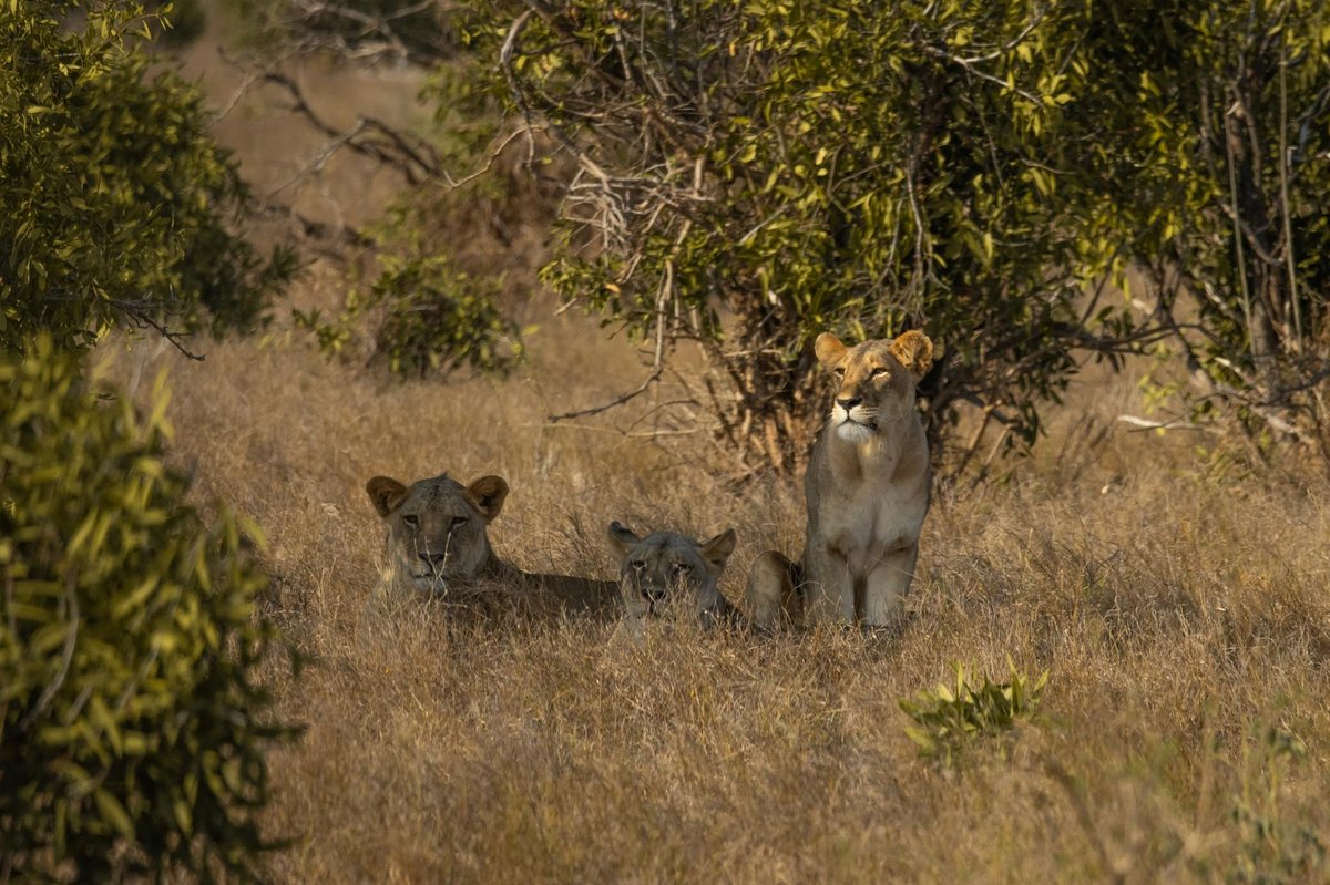 Bandhavgarh National Park
