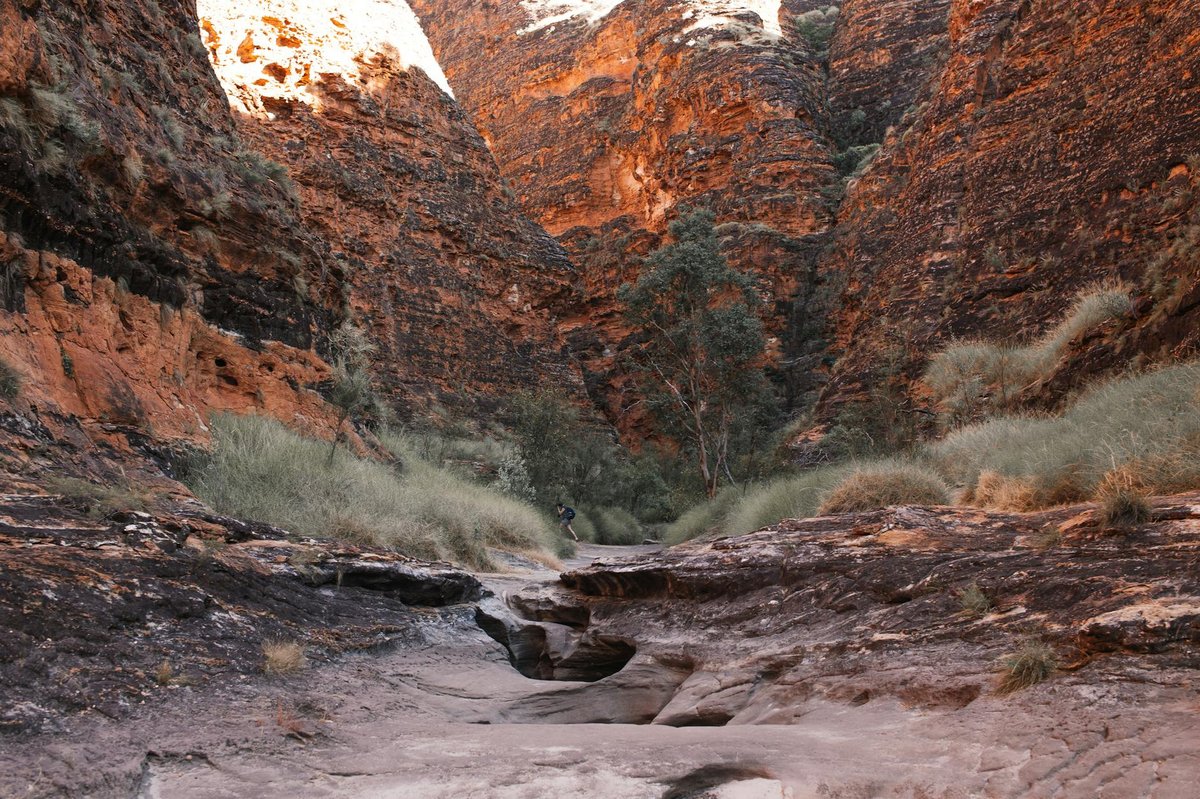 Basilisk Range National Park