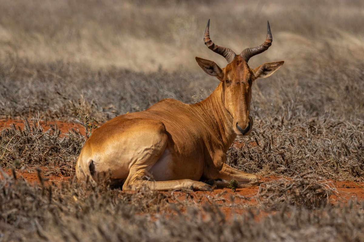 Inderkilla National Park