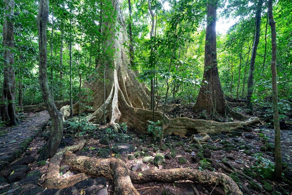 Cát Tiên National Park