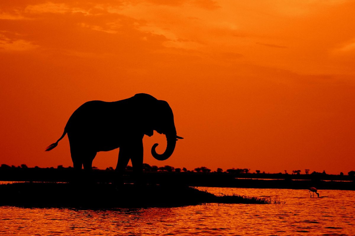 Balpakram National Park