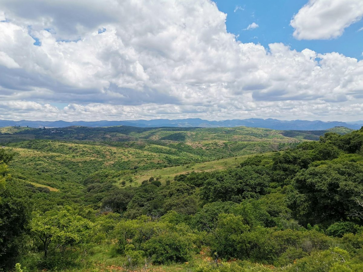Nthandanyathi viewing hide