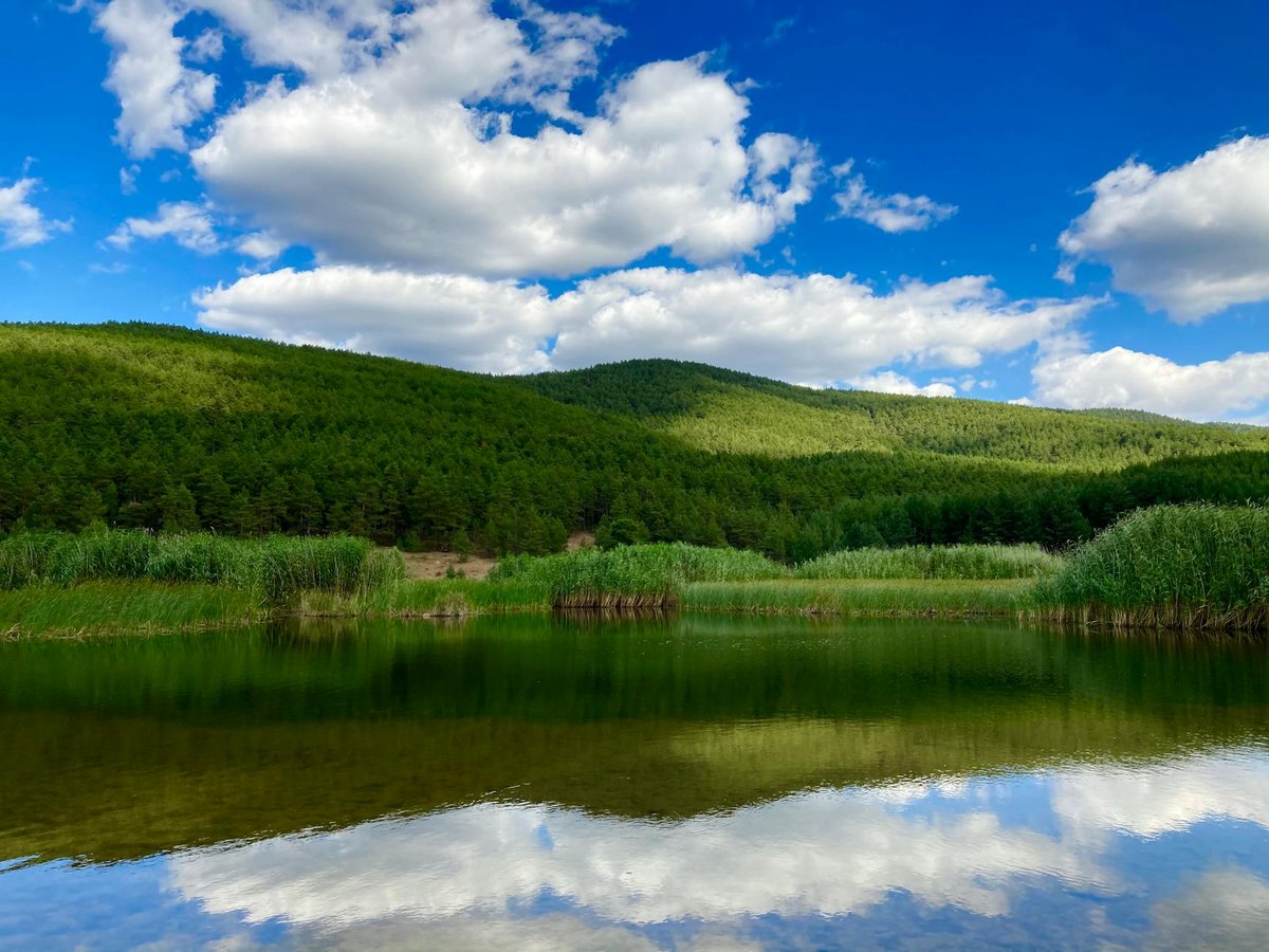 Boraghy Lough