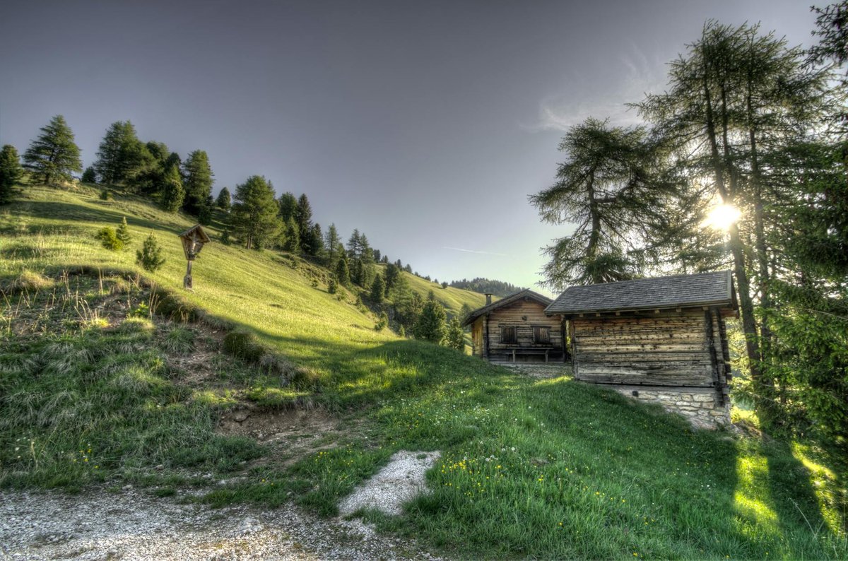 Burgseewli