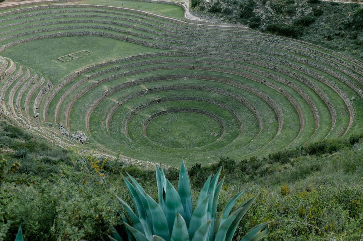Achucallani