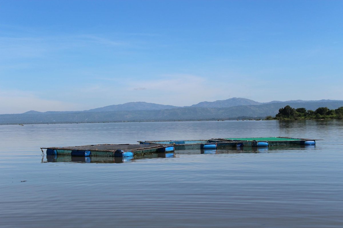 Bulalo Molosipat