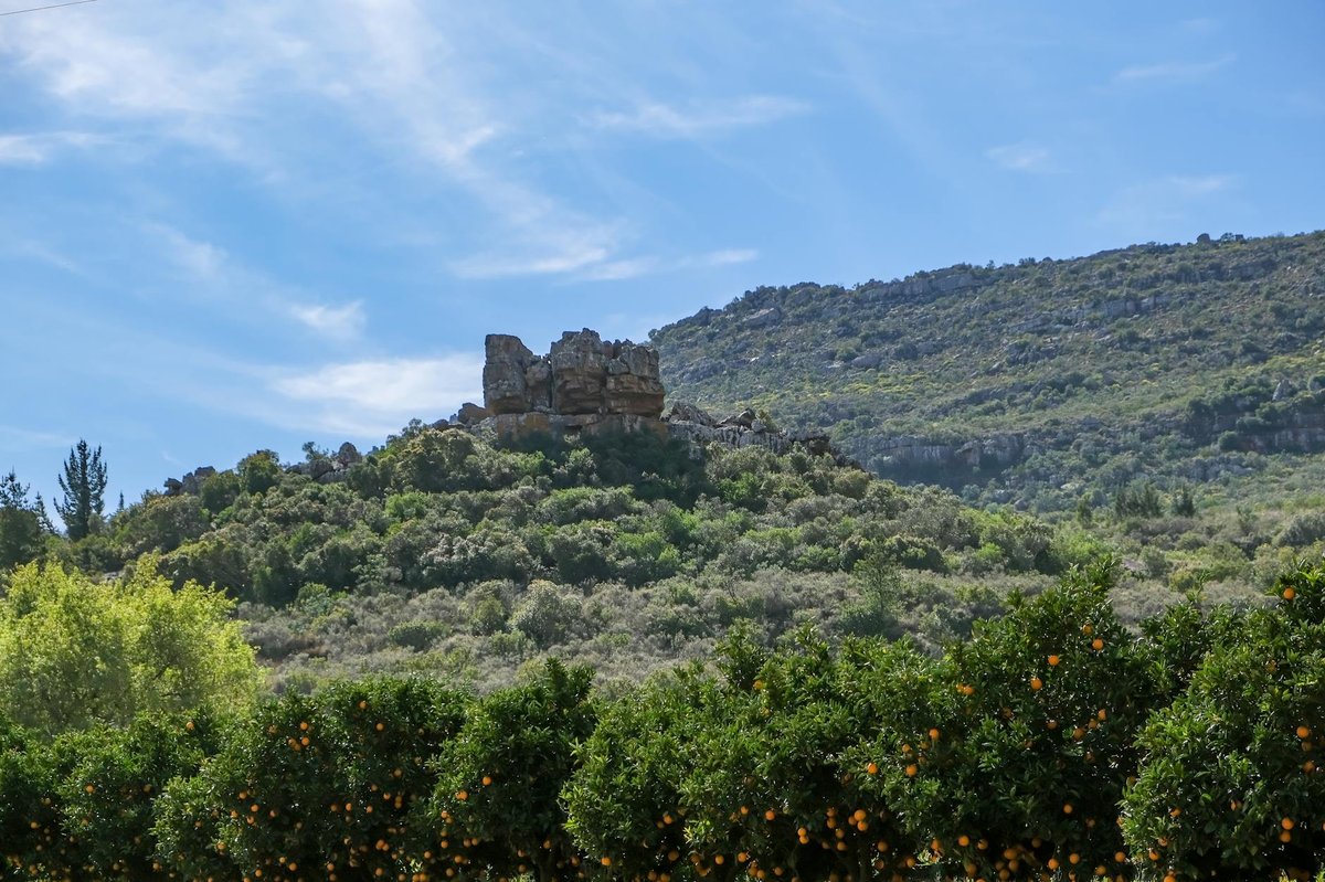 Orange Grove Waterfall
