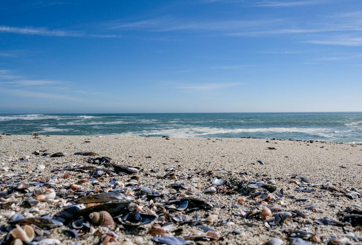 Bazley Beach