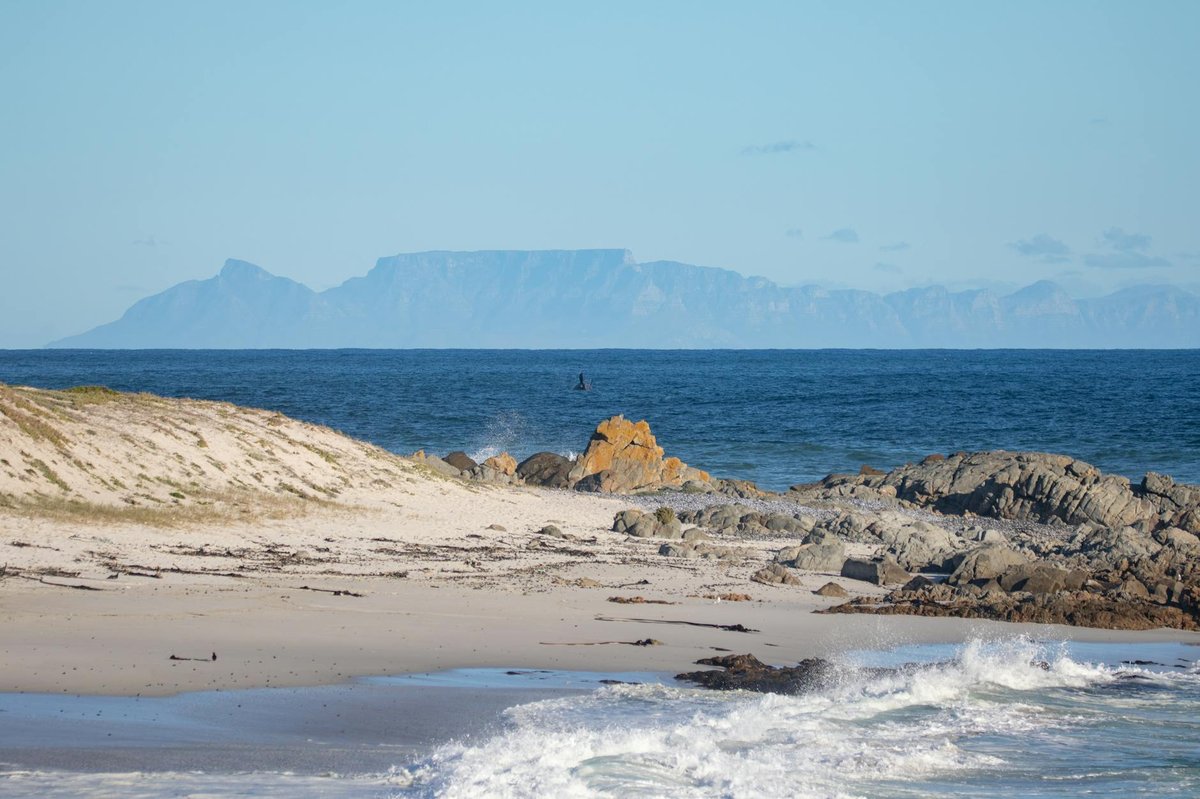 Blombosstrand