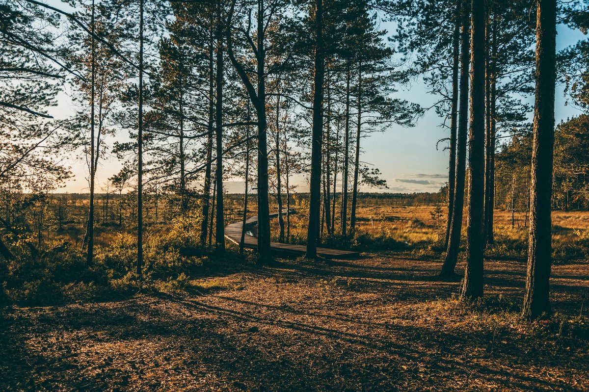 Ala Ittivaara