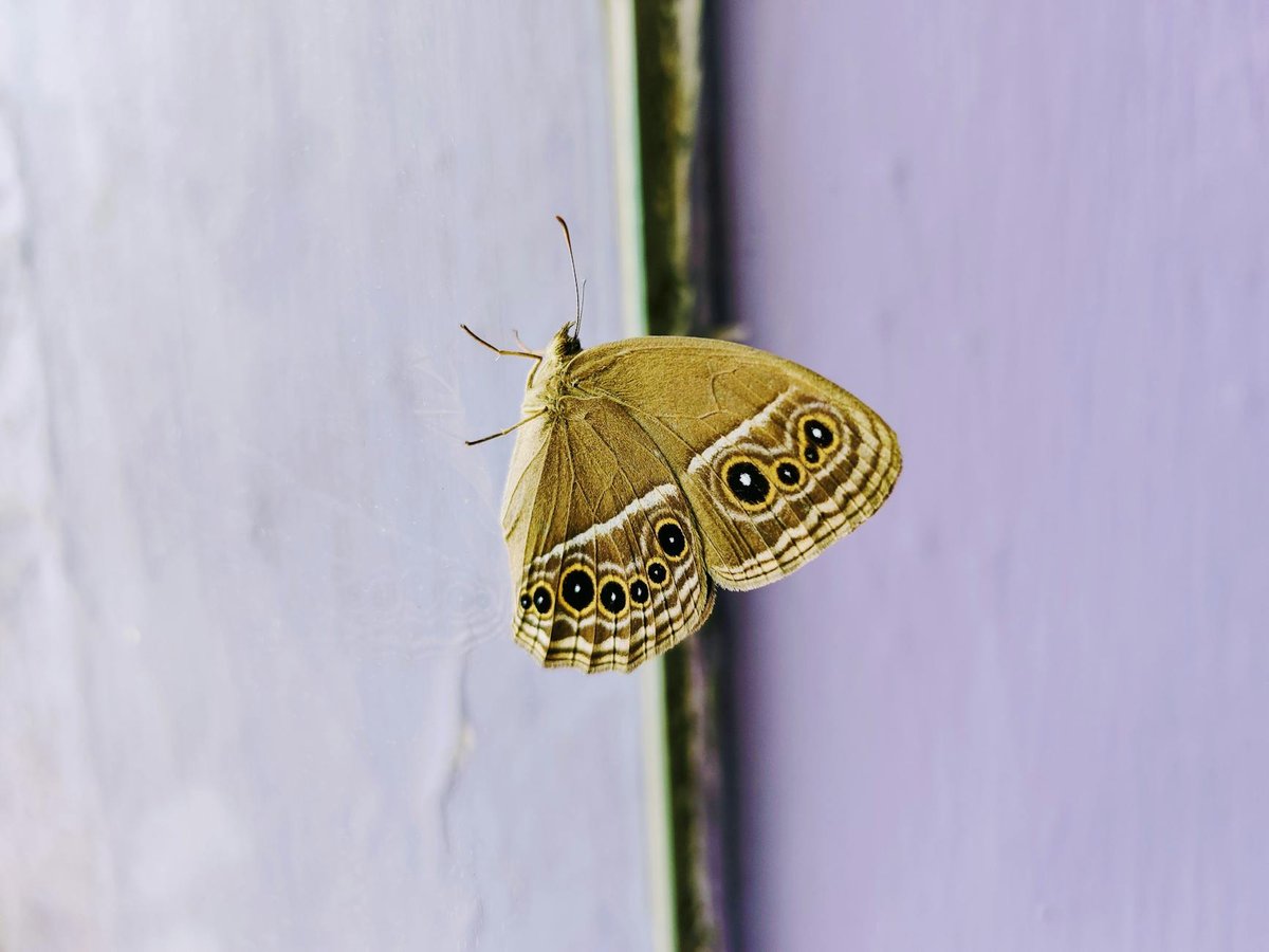 An Leth-chreag
