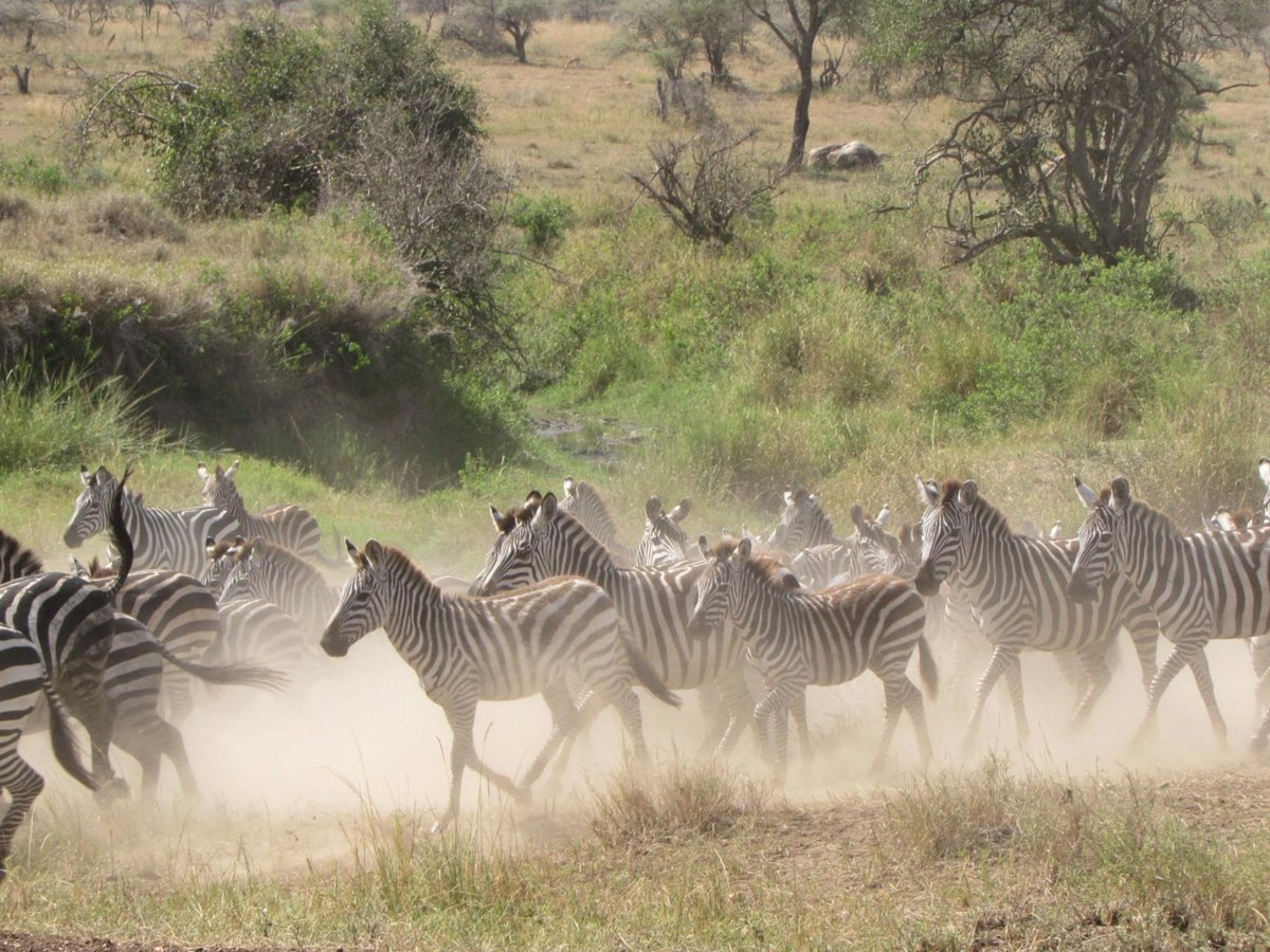 Ruaha National Park