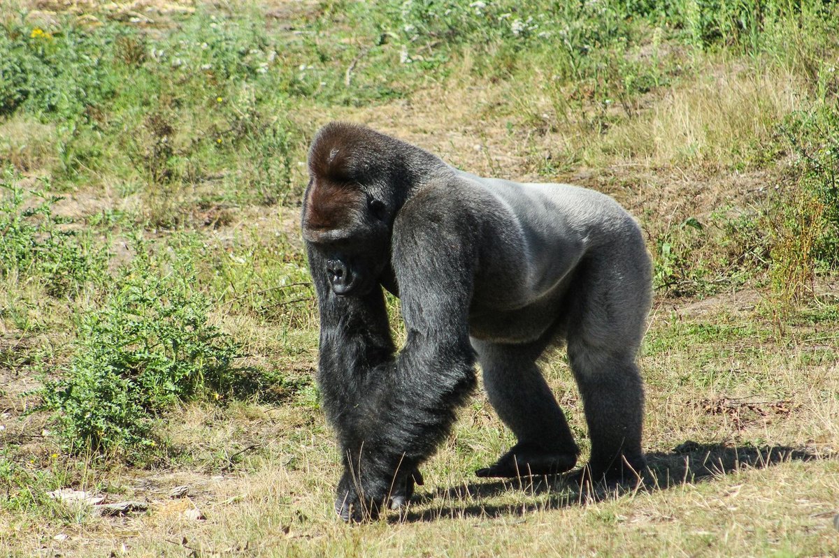 Kitulo National Park