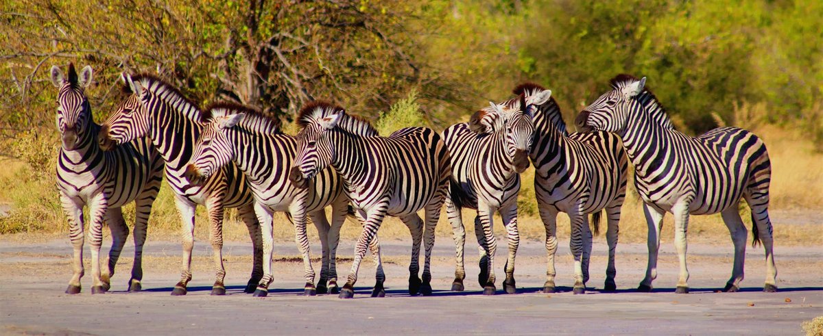 Sanjay National Park