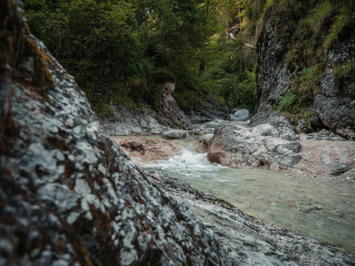Haynschlucht