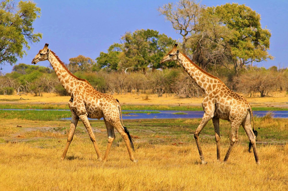 Grassland National Park