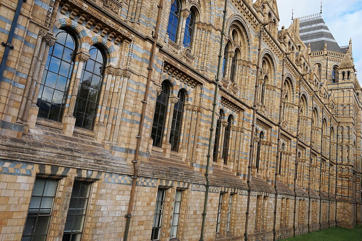 Beckford's Tower and Museum