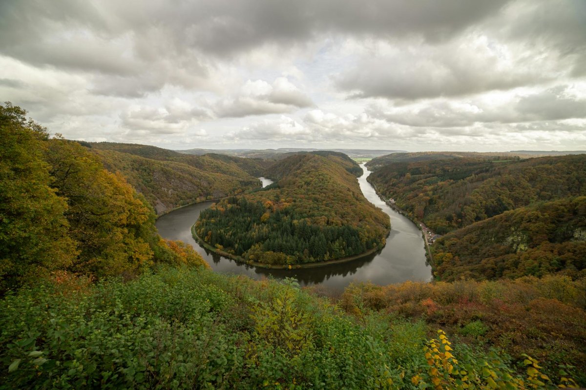 Aussichtsturm Baumwipfelpfad Saarschleife