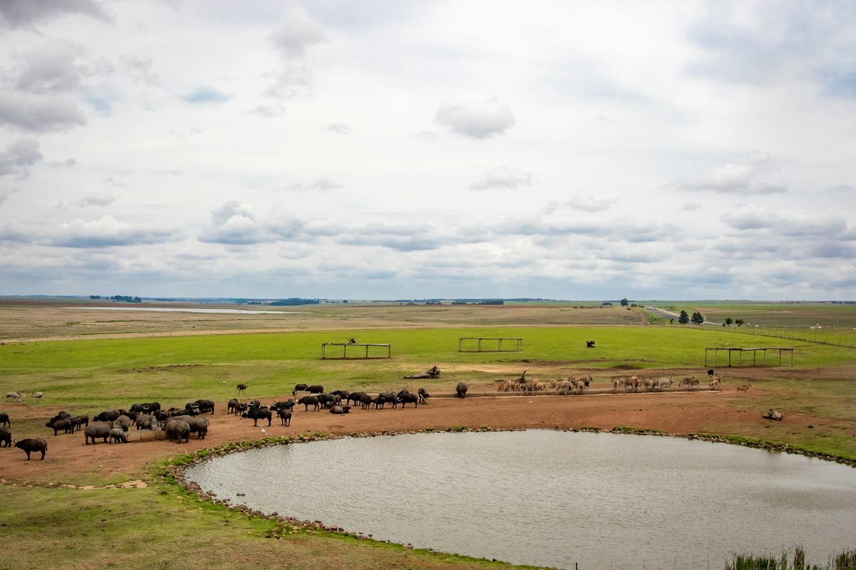Bo-Langvlei