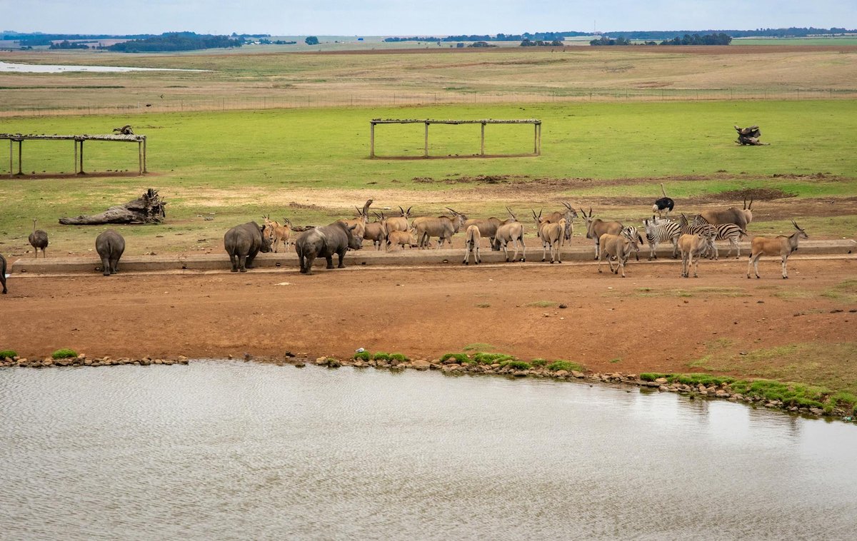 Stofdam waterhole