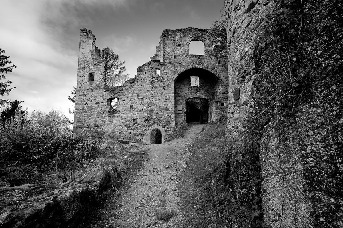 Castle ruin Millen