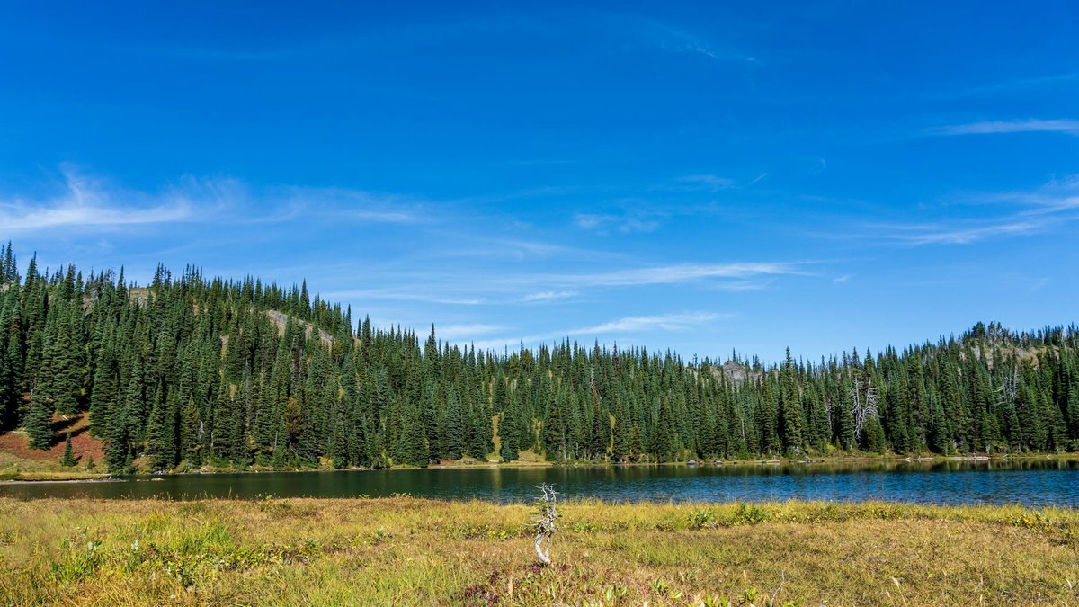 Alpine Lake/Ata Puai