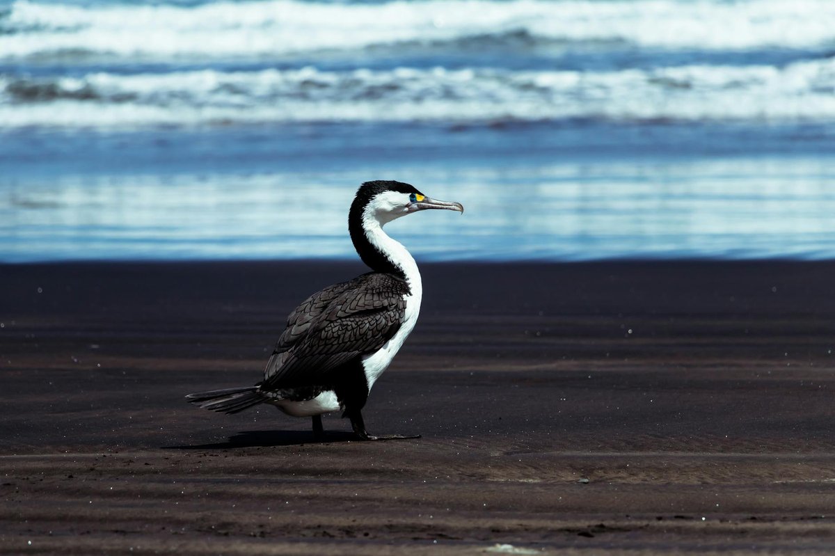 Millars Beach