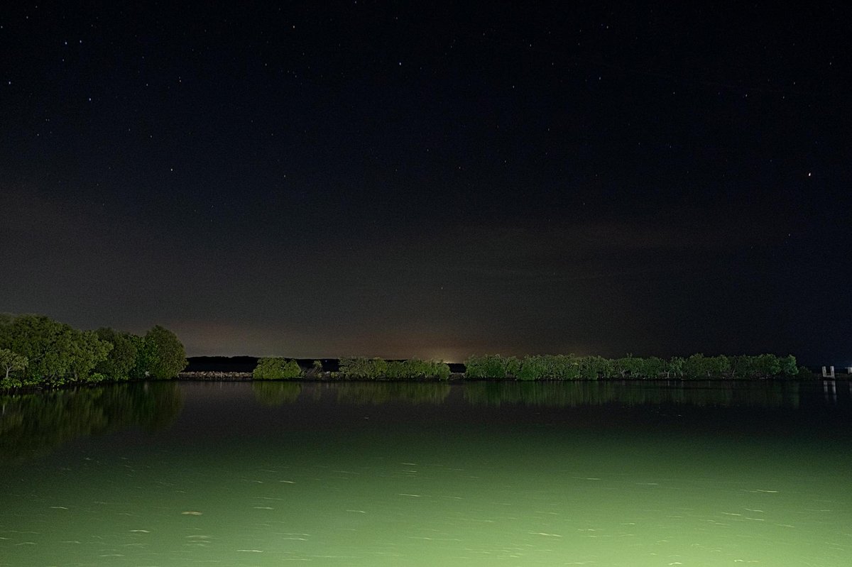 Pantai Mangrove Kampoeng Nipah