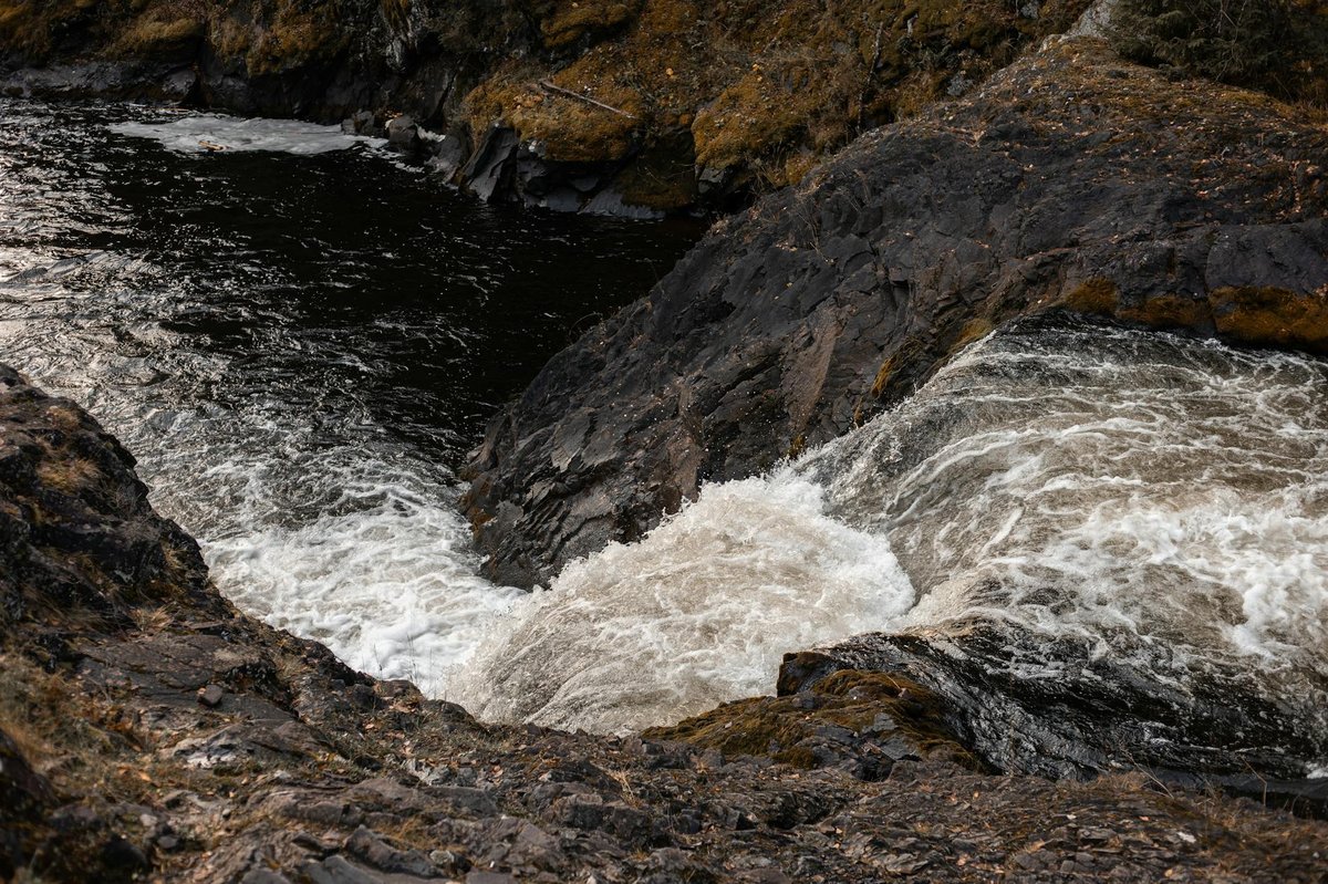 Cotter Force