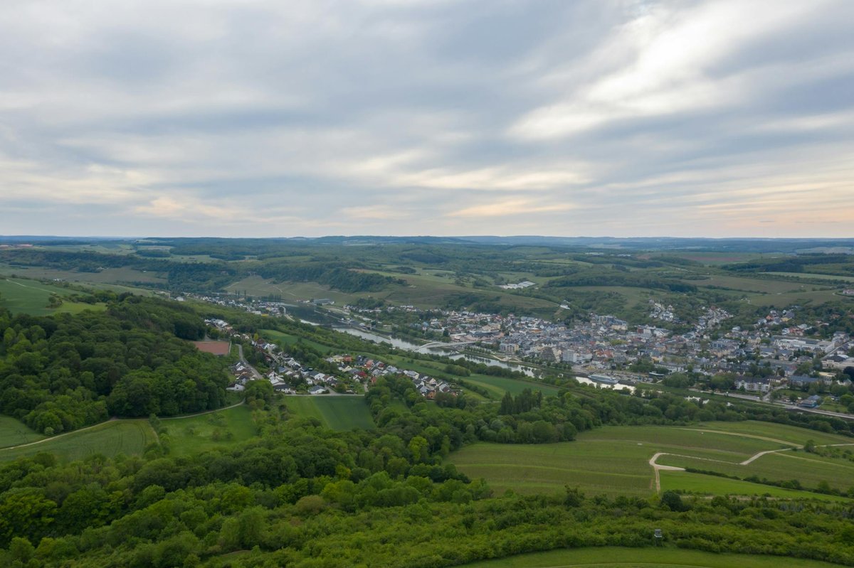 Collenberg
