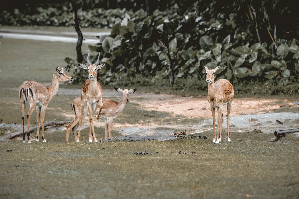 Gyeongju National Park