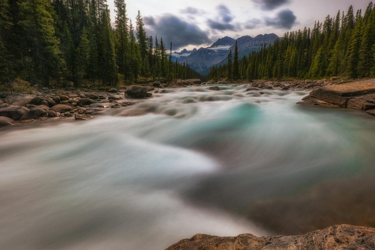 Black Rapids