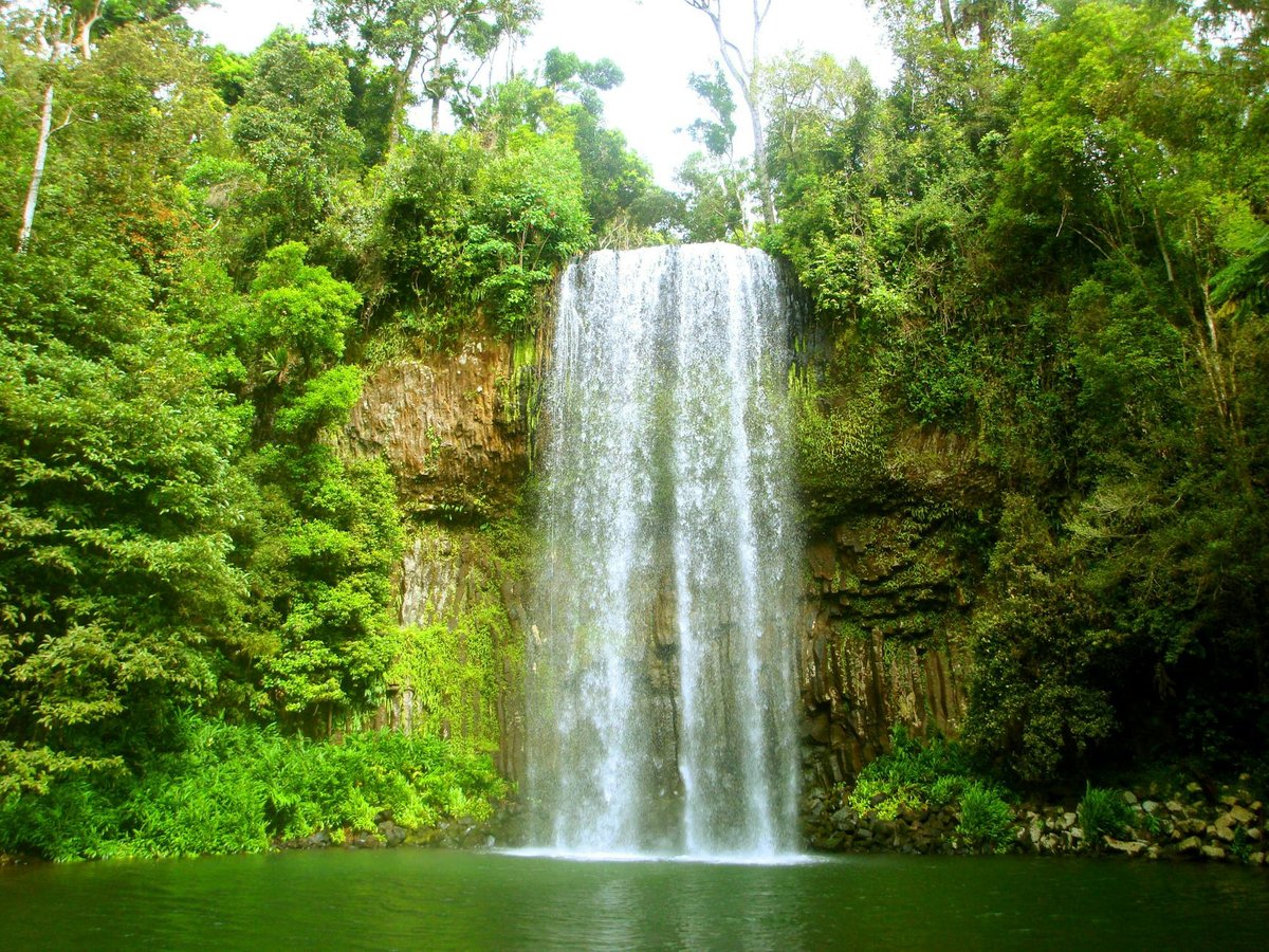 Cascades Cameron