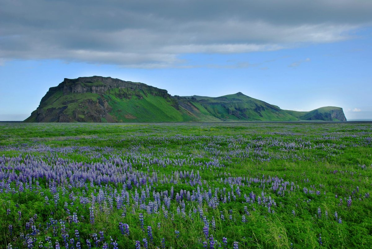 Hekla