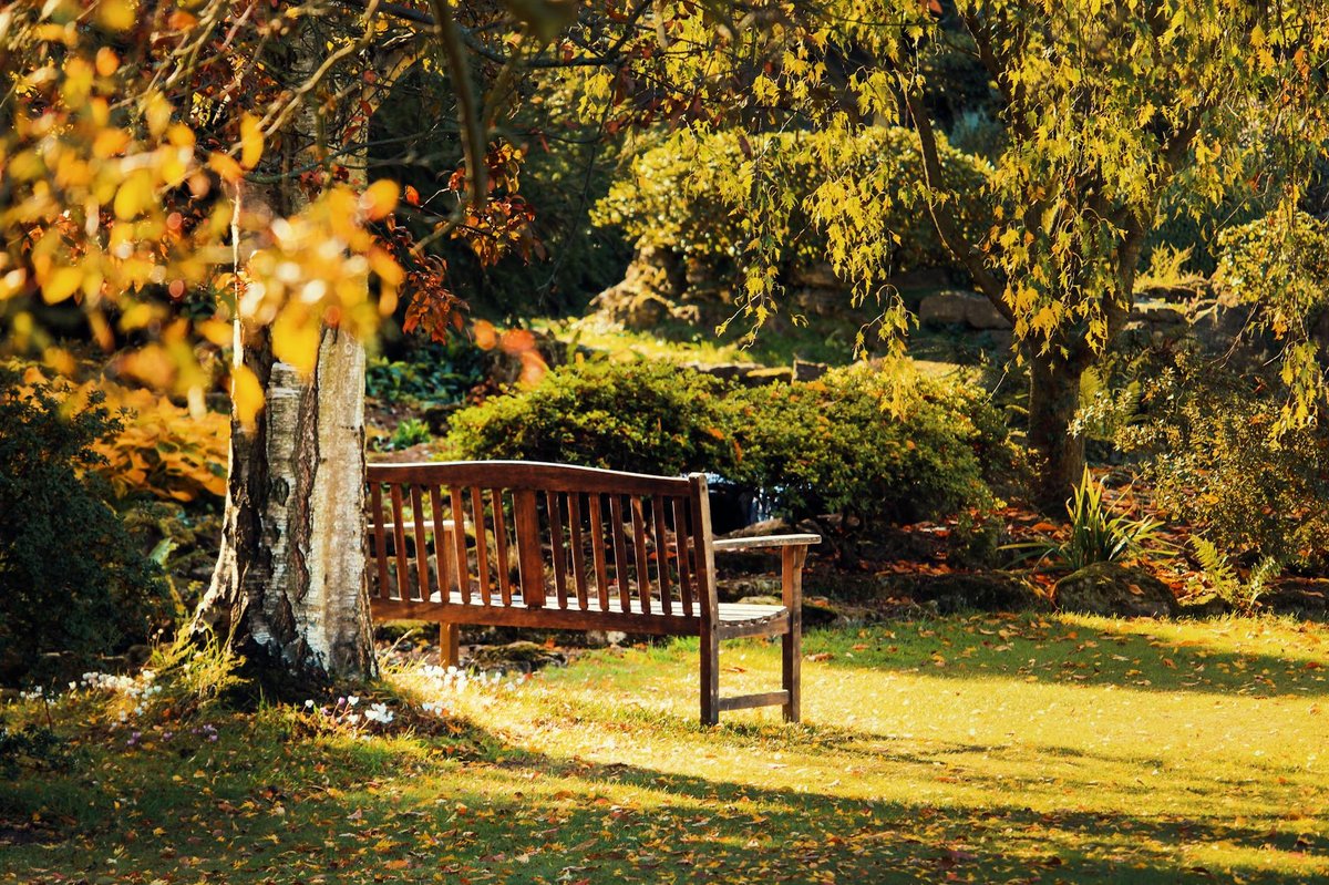 Kent Park
