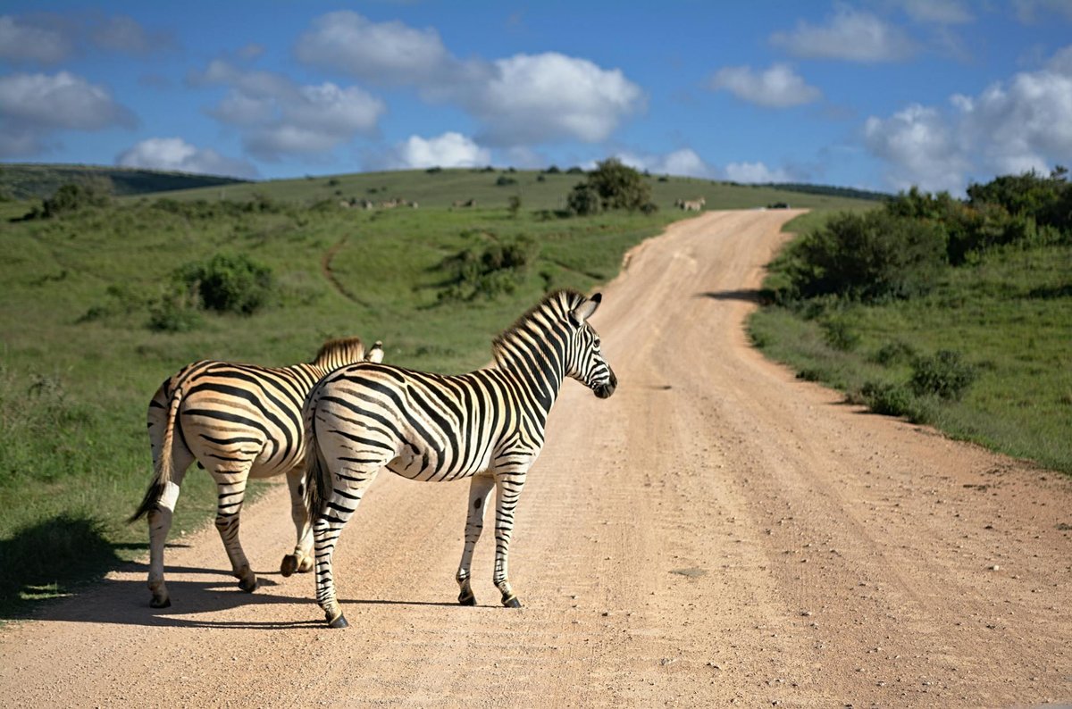 Tsitsikamma National Park
