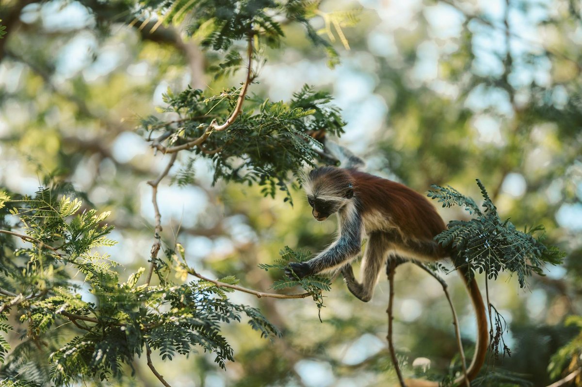 Haparanda Archipelago National Park