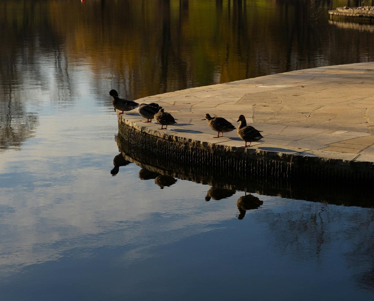 Modderpoort Reservoir