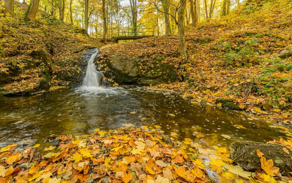 Bishop Falls
