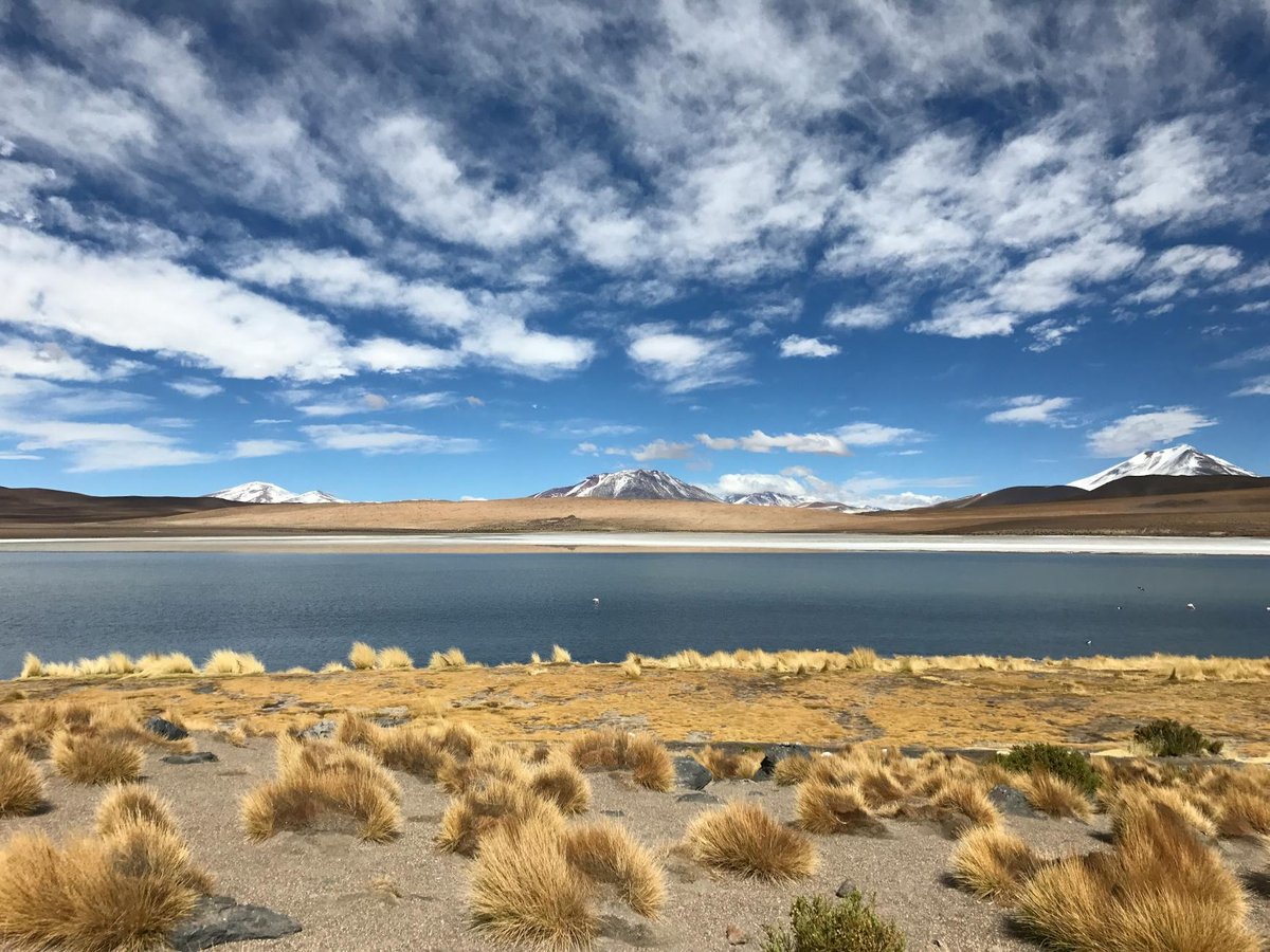 Pampa Buenavista