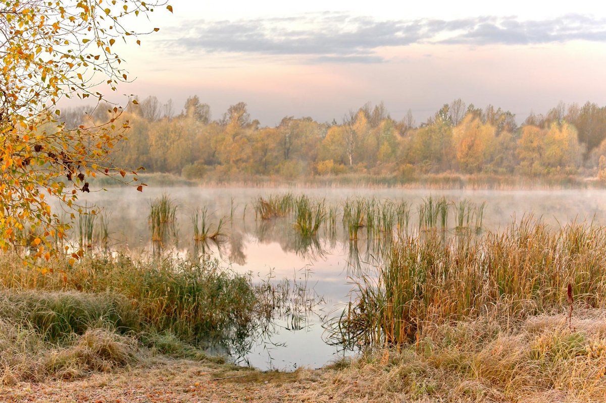 Dew Lakes