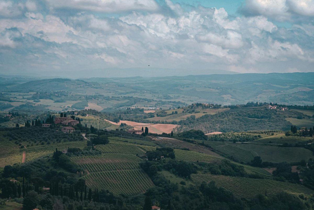 Loggetta